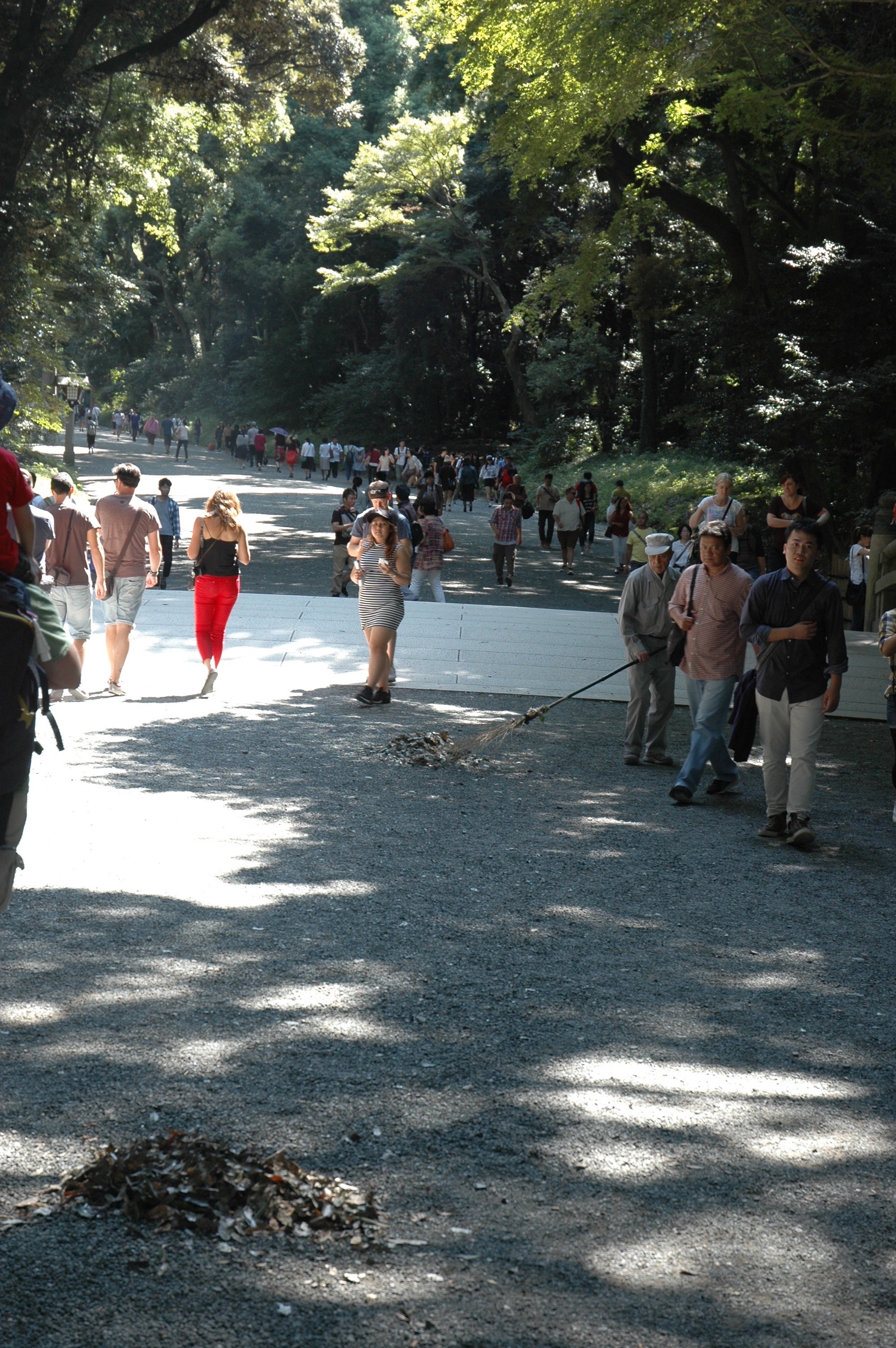 Meiji Shrine