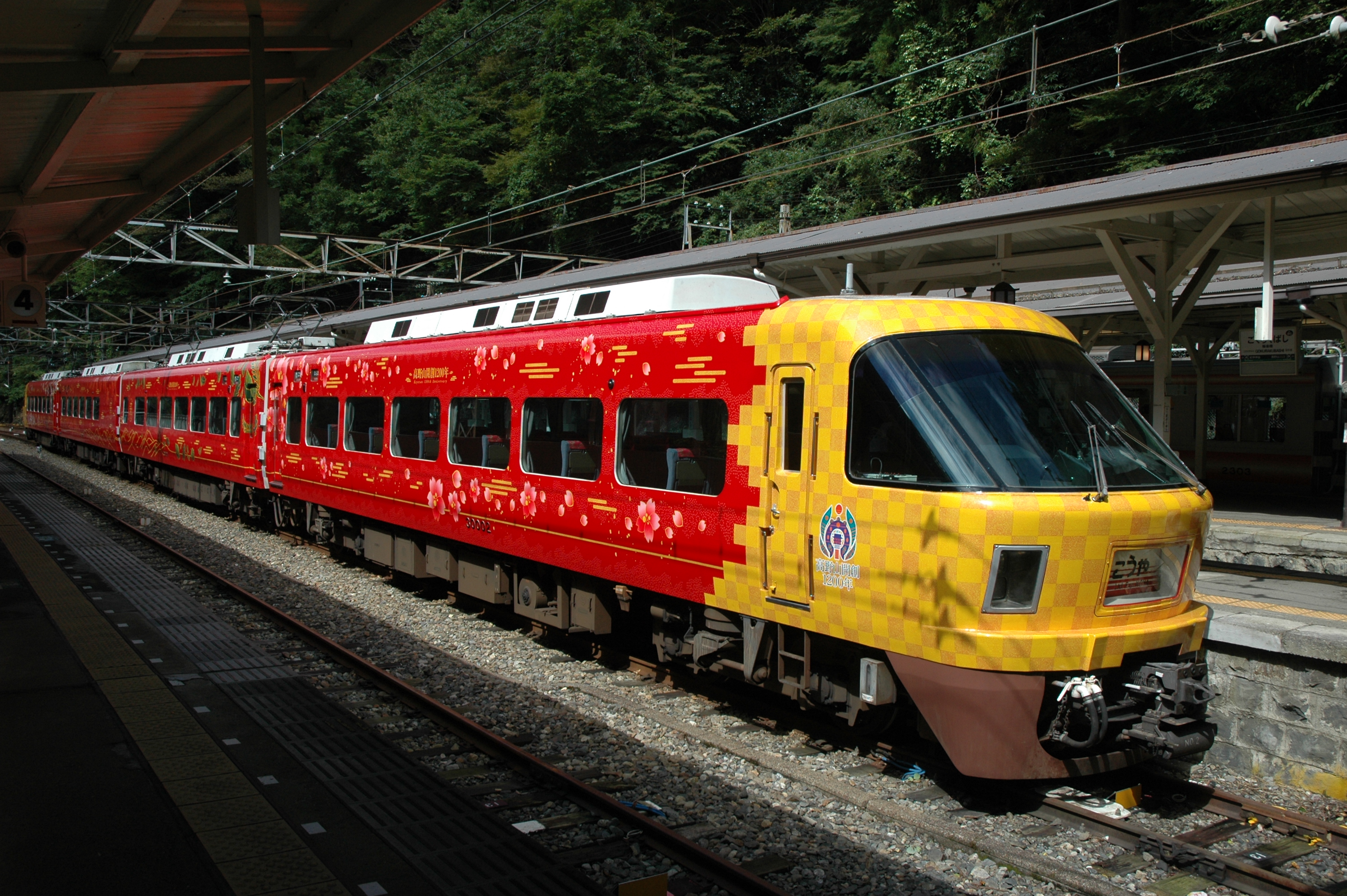 Koya express train