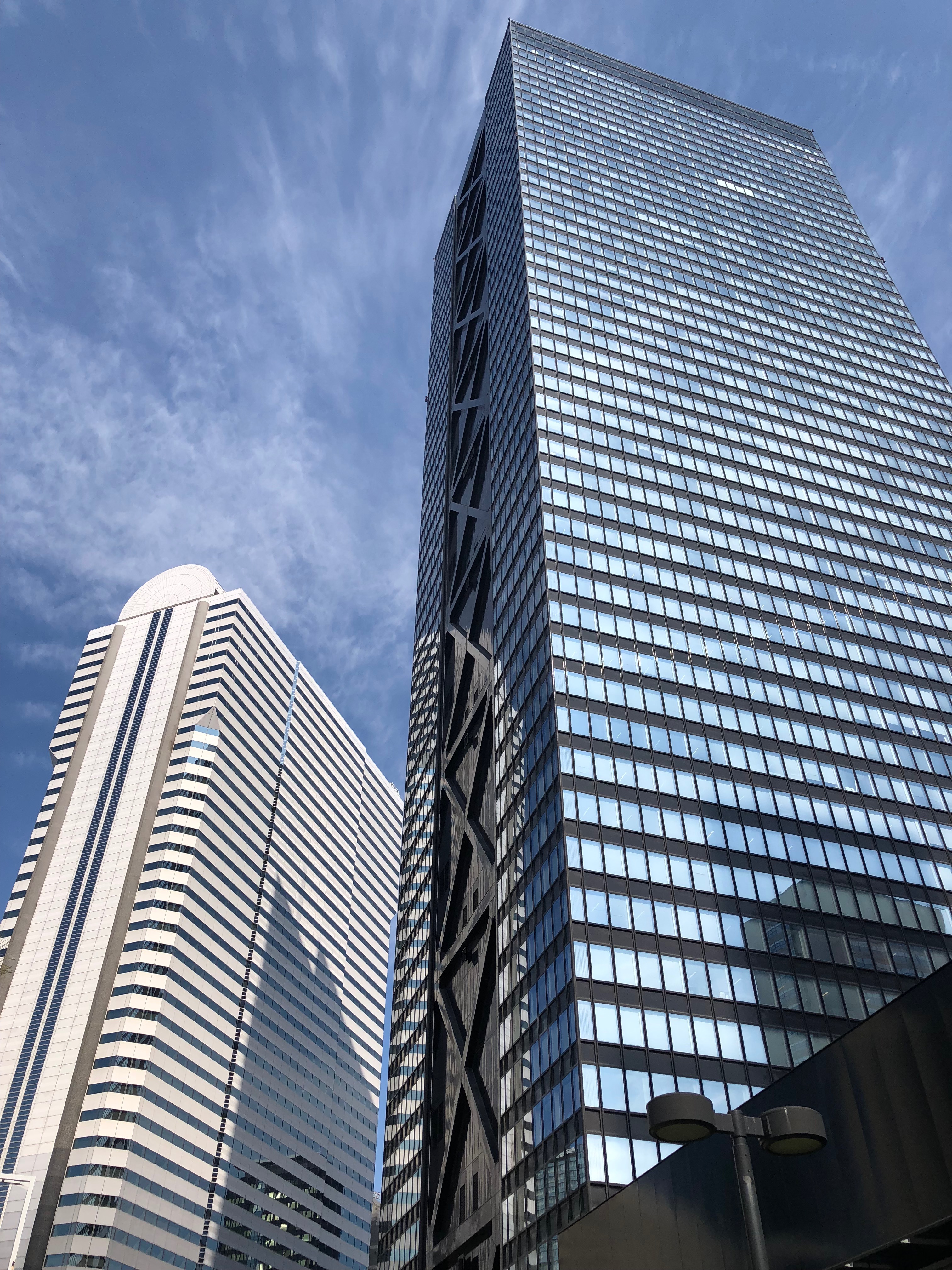 Shinjuku Skyscraper District